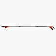 Cordless Pole Saw