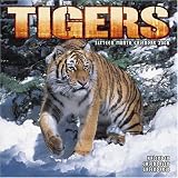 Tigers 2008 Wall Calendar