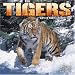 Tigers 2008 Wall Calendar