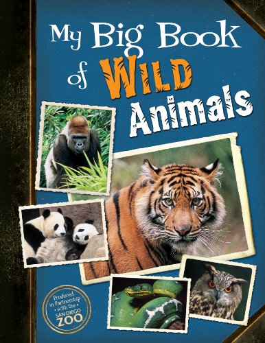 My Big Book of Wild Animals