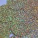 Sequin Round 50mm Gold Hologram Glitter Sparkle Metallic. Made in USA