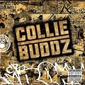 Collie Buddz