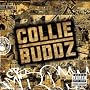 Collie Buddz