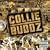 Collie Buddz