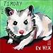 Ex Hex