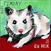 Ex Hex
