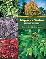 Maples for Gardens: A Colour Encyclopedia