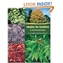 Maples for Gardens: A Color Encyclopedia