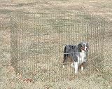 Gold Plated Exercise Pen 48 High Gold Plated Exercise Pen - 48
