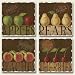 Set of 4 Ceramic Tumbled Stone Fruit For Sale Art Magnets