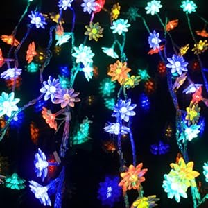 lumi&egrave;re d&eacute;coration ext&eacute;rieur et int&eacute;rieur pour No&euml;l maison