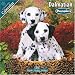 Dalmatian Puppies 2010 Wall Calendar #10204-10