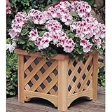 Arboria Windsor Square Planter Box