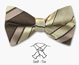 Self -Tie Stripe Bow Tie