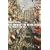 Children of the Revolution: The French, 1799-1914