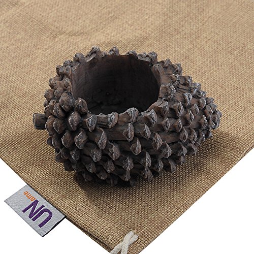 Uname micro landscape succulent plants creative flower …
