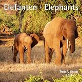 Produkt-Bild: Elefanten - Elephants 2012. Trends & Classics Kalender