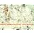 Steiner and Lenzlinger: Brainforest