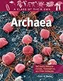 Archaea: Salt-Lovers, Methane-Makers, Thermophiles, and Other Archaeans (Class of Their Own (Library))
