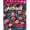 Archaea: Salt-Lovers, Methane-Makers, Thermophiles, and Other Archaeans (Class of Their Own)