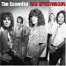 The Essential REO Speedwagon