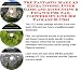 The Fantastic Make An Extra Income, Inner Game and Accounting & Finance for Nail Clippers On-line Biz Package (3 CDs)