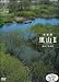ハイビジョンシリーズ 映像詩 里山II 命めぐる水辺 [DVD]