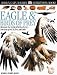 Eagle & Birds of Prey