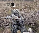 StealthSuit Original Paintball Sniper 4 Piece Desert Ghillie Suit XL. Outdoor Camo/Ghillie 61r3BeBOiXL. SL160 StealthSuit Original Paintball Sniper 4 Piece Desert Ghillie Suit XL. Outdoor Camo/Ghillie