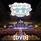 松井玲奈・SKE48卒業コンサートin豊田スタジアム~2588DAYS~ [DVD]