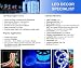 Blue 100 FT 110V-120V LED Rope light Kit, 1.0" LED spacing, Christmas Lighting, Outdoor rope light image 3