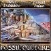 Fossil Culture 3