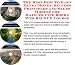 Book The Best How To Earn Extra Money, Success Principles and Sales Models for Hard-to-find Books Web Biz 3 CD Course