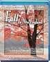FALL IN NEW ENGLAND