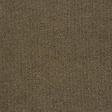 Shaw Contract Group 59411-10123 Bon Jour Carpet Tiles, 24-Inch by 24-Inch Tiles, 12 Tiles, 48 Square Feet, Beige