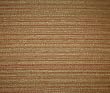 Tangy Tangerine Fabric By the Yard