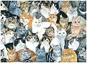 Just Cats