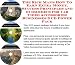 Book The Rich Man's How To Earn Extra Money, Success Principles and eCommerce for Car Video Accessories Businesses 3 CD Power Pack