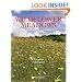 Wildflower Meadows