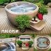 Lifesmart Rock Solid Luna Spa with Plug & Play Operation