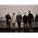 Thumbnail image of Elbow
