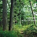the P.I.A.N.O. set �y�X�y�V�����E�G�f�B�V�����Ձz