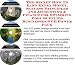 The Secret How To Earn Extra Money, Success Principles and Accounting & Finance for Swimming Pool Supplies Businesses 3 CD Power Pack