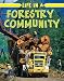 Life in a Forestry Community (Learn about Rural Life)
