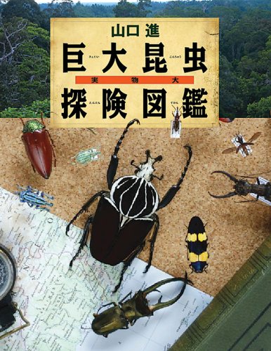 実物大巨大昆虫探検図鑑 (ちしきのぽけっと)