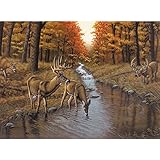Royal & Langnickel Painting by Numbers Adult Large Art Activity Kit, Symond's Creek
