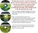 The Secret Get More Biz, Success Principles and Inner Game for Antenna Toppers Internet Businesses 3