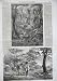 1856 Fern-Tree Gullet Dandynony Aborigines Victoria Dog