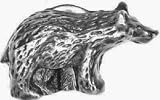 AB L Bear Cab Knob