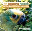 Feathered Phonics The Easy Way To Teach Your Bird To Speak Volume 1: 96 Words and Phrases
